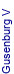 Gusenburg V