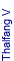 Thalfang V